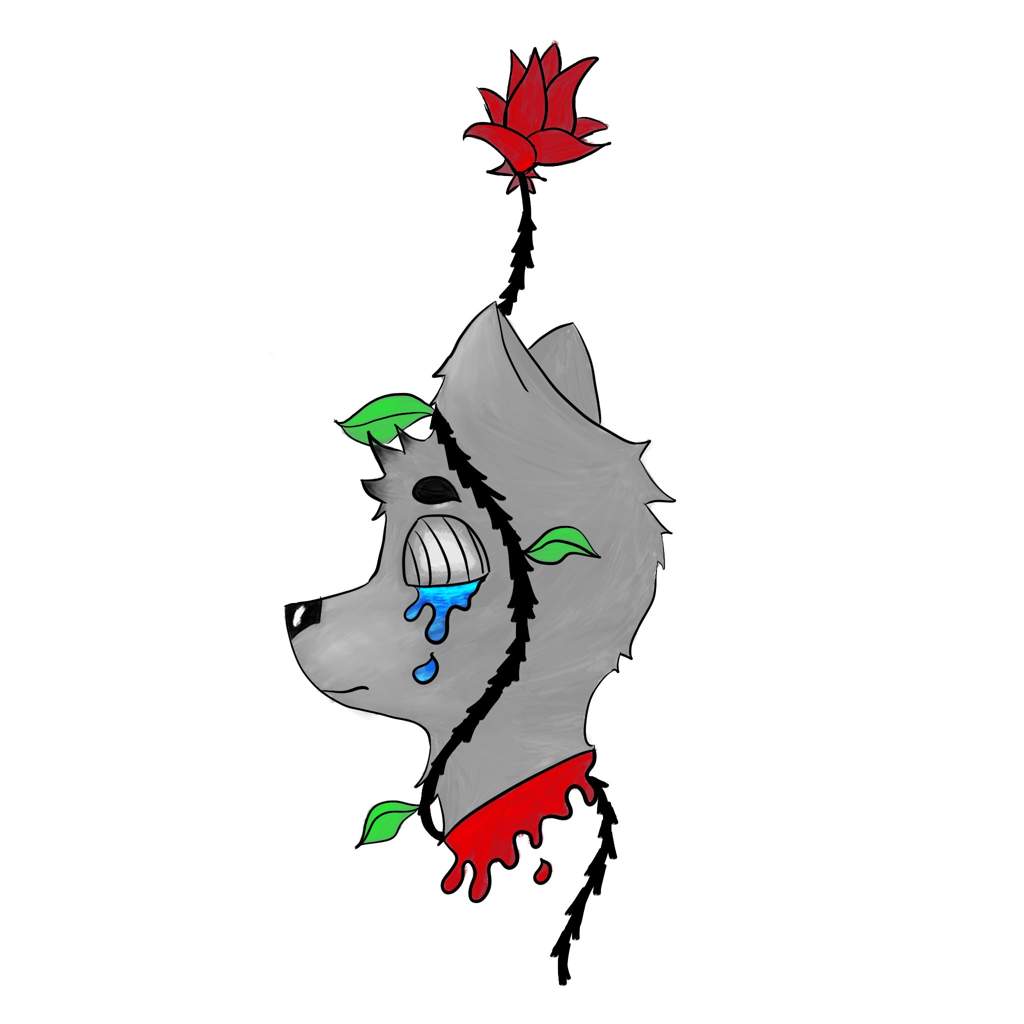 1024x1024 Color Blind