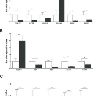 320x320 qpcr validation of genes involved in the maintenance of ecm