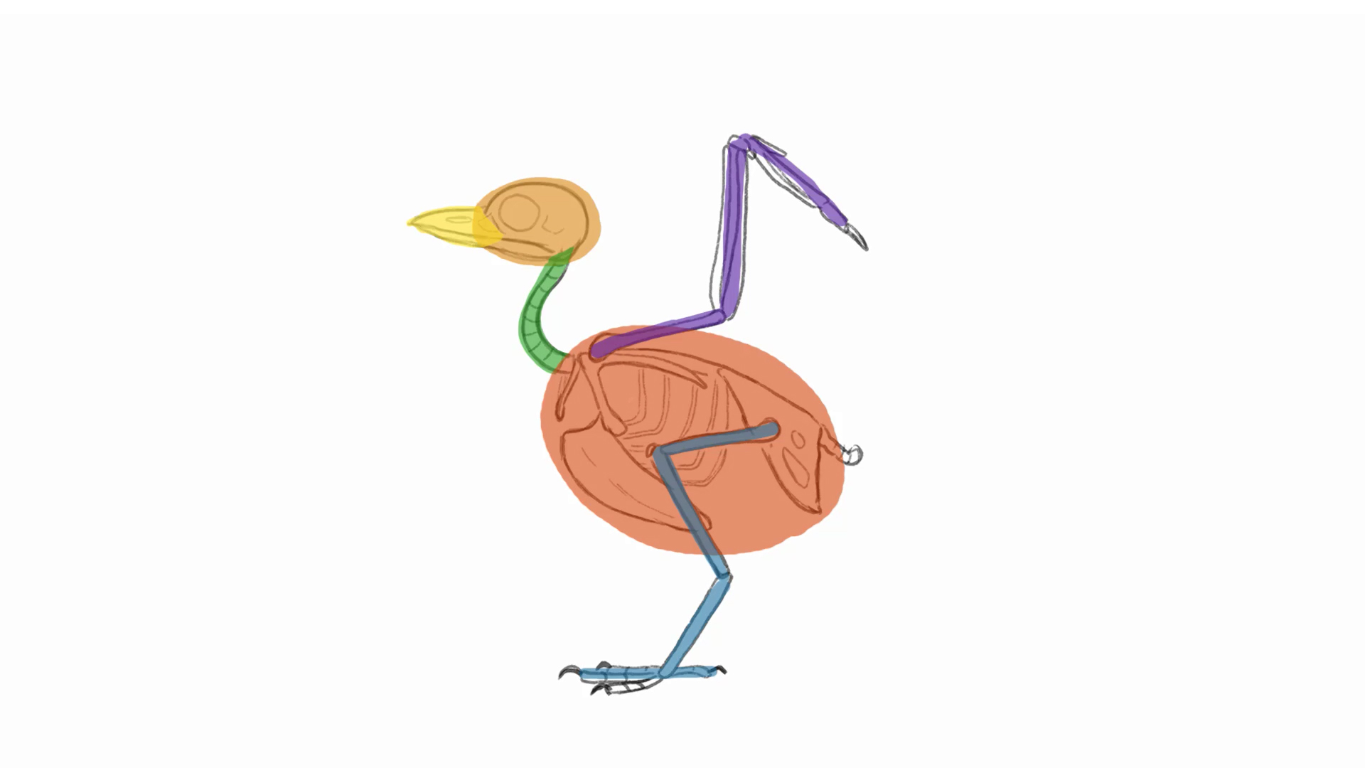 1920x1080 How To Draw A Bird