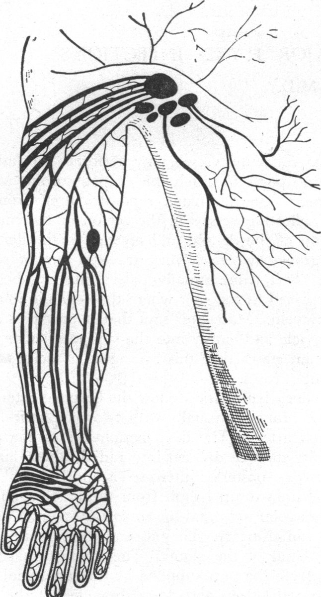 646x1200 Nejm On Twitter