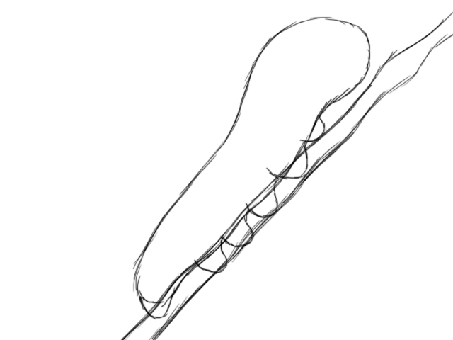 640x480 How To Draw A Caterpillar