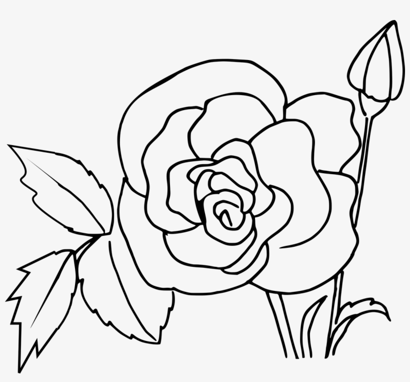 820x763 How To Make Drawing Of Rose Free Printable Rose