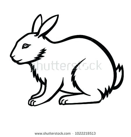 450x470 Linear Drawing Of A Bunny Template For Coloring Face Horse Human