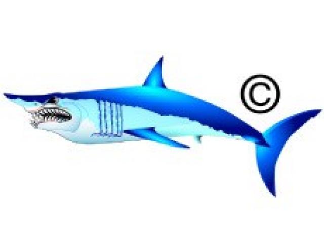 640x480 free mako shark clipart, download free clip art