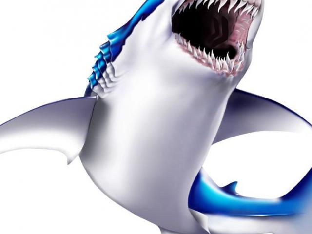 640x480 mako shark clipart free clip art stock illustrations