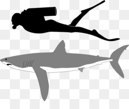 260x220 mako shark png