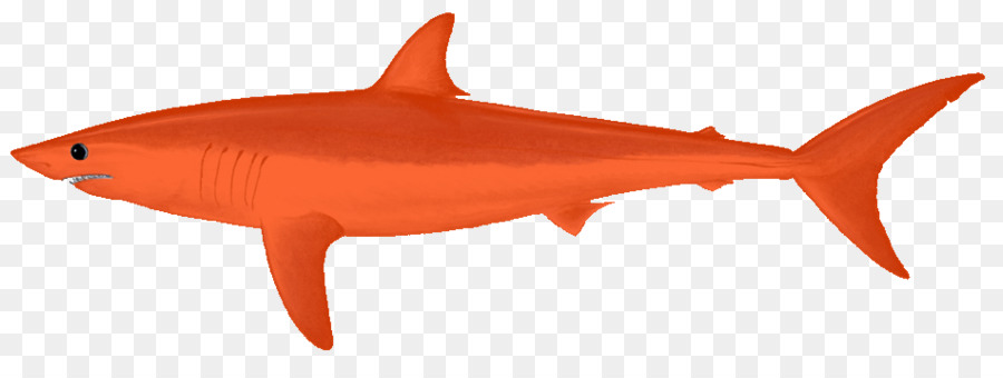 900x340 Drawing, Fish, Red, Transparent Png Image Clipart Free Download