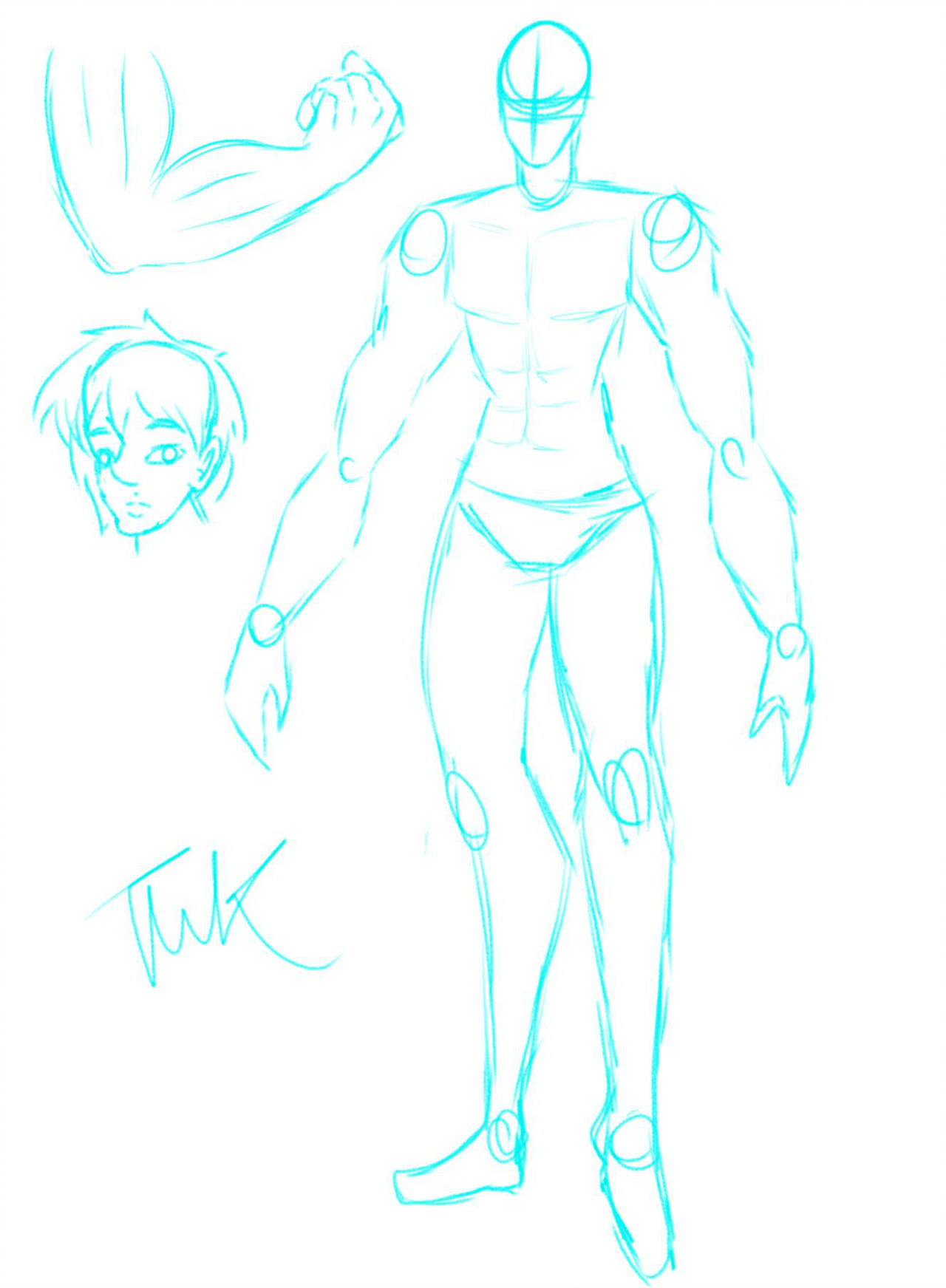 1280x1743 Learning Male Anatomy