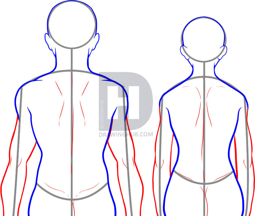 Male Body Drawing Free download on ClipArtMag