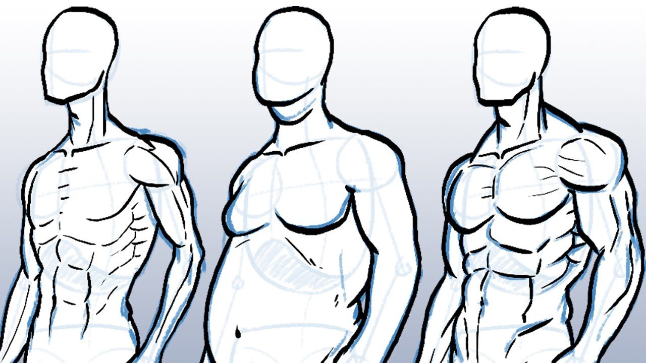 1280x720 How To Draw Different Body Types