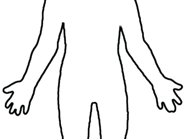 Male Body Drawing Template | Free download on ClipArtMag