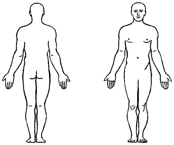 male-body-drawing-template-free-download-on-clipartmag