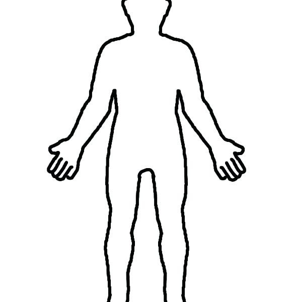 male body outline sketch