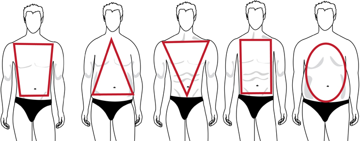 745x291 Men's Body Shape Guide