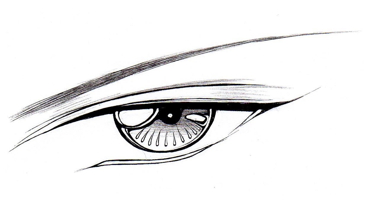 1242x704 How To Draw Male Eyes
