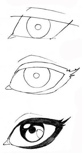 279x517 How To Draw Male Vs Female Eyes