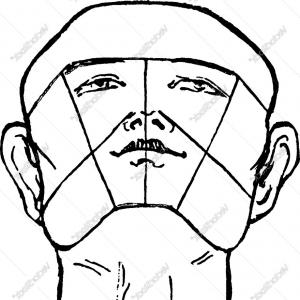300x300 Head Profile Bearded Man Bald Vector Shopatcloth