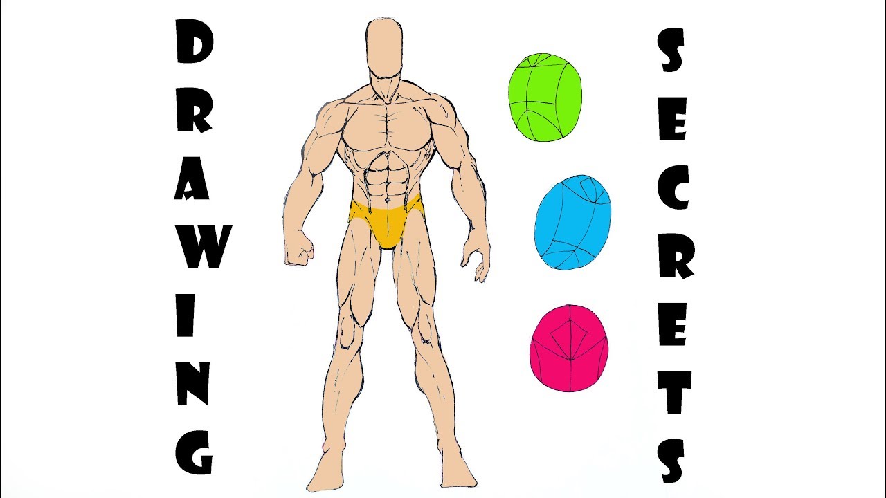 1280x720 Drawing The Male Figure Simple Secrets