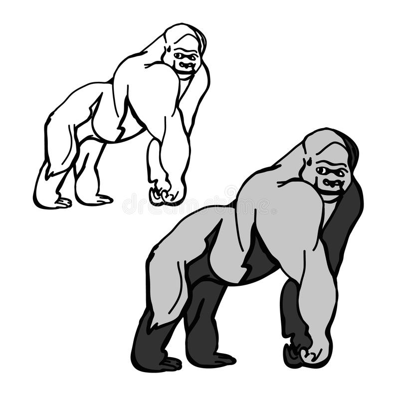 800x800 outline of gorilla casa sanmarino