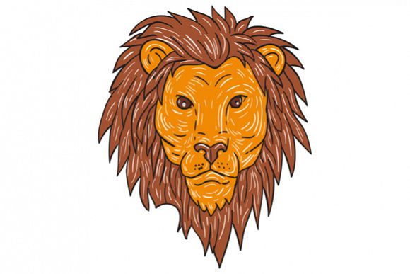 580x387 Male Lion Big Cat Head Drawing