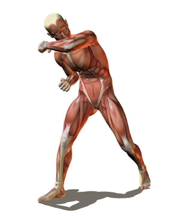 612x720 Figure Drawing Reference, Drawing