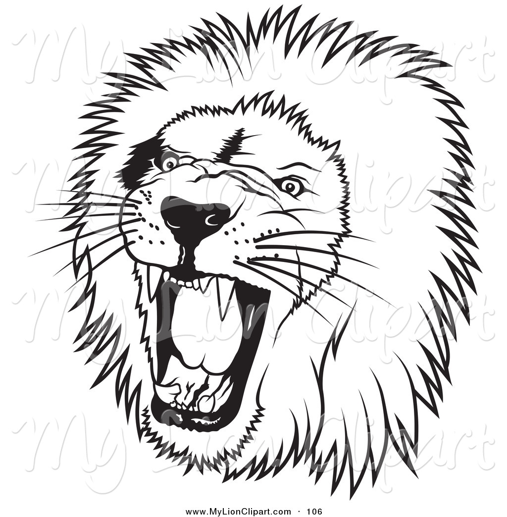 Male Lion Drawing