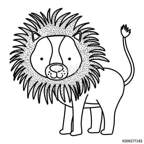 500x500 Line Cute Male Lion Wild Animal Stock Image And Royalty Free