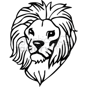 300x300 Black And White Close Up Of Male Lion Clipart Royalty Free