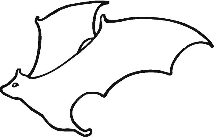 700x448 Outline Of A Bat