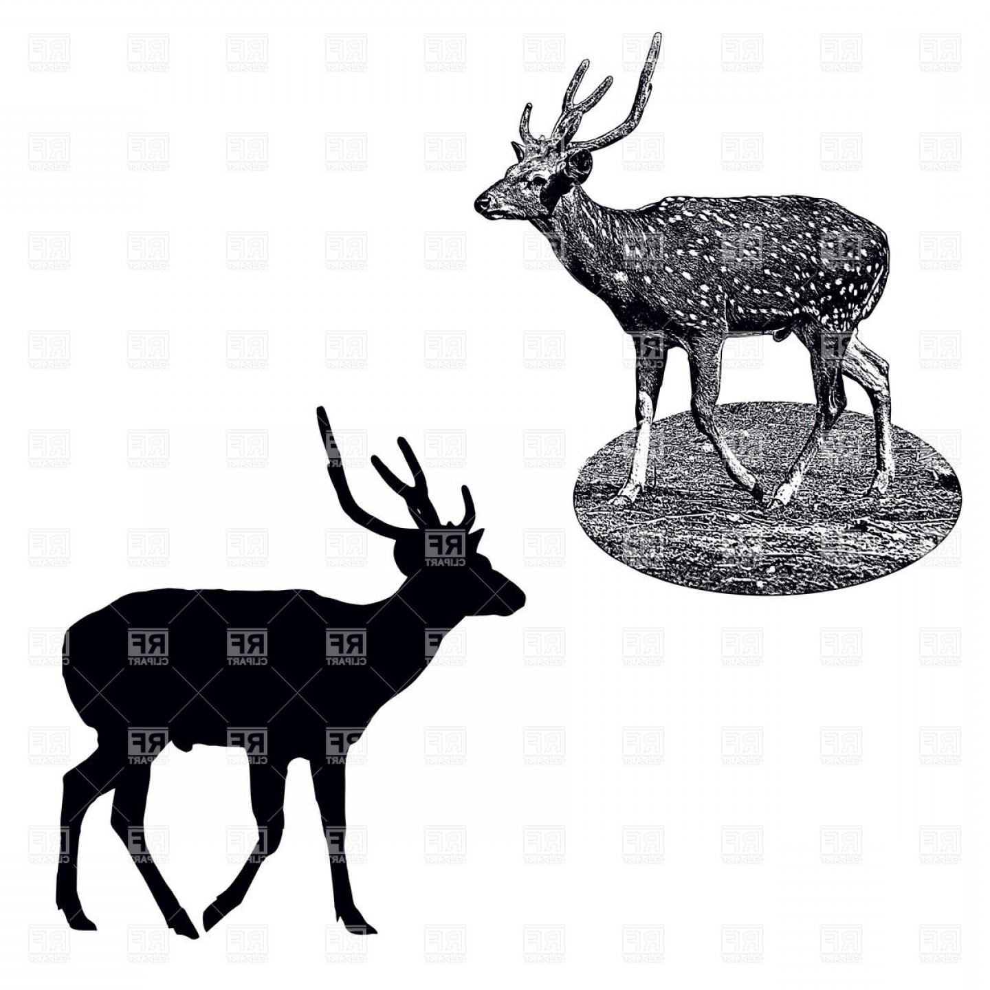 1440x1440 Silhouette And Shading Style Profile Of Male Of Spotted Deer