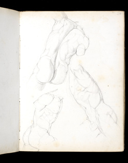 250x318 Fitzwilliam Museum Collections Explorer