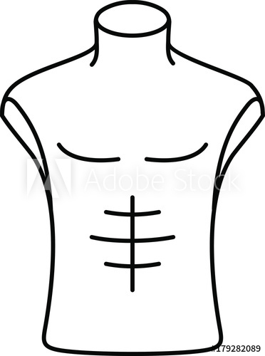 372x500 Male Torso Mannequin