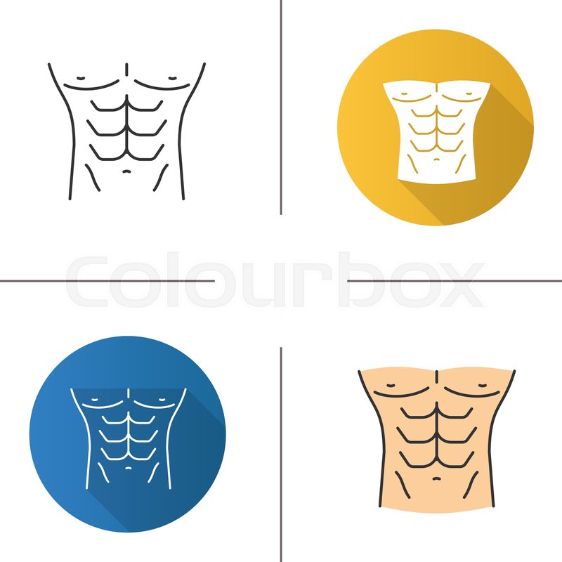 800x800 Muscular Male Torso Icon Flat Design, Stock Vector Colourbox