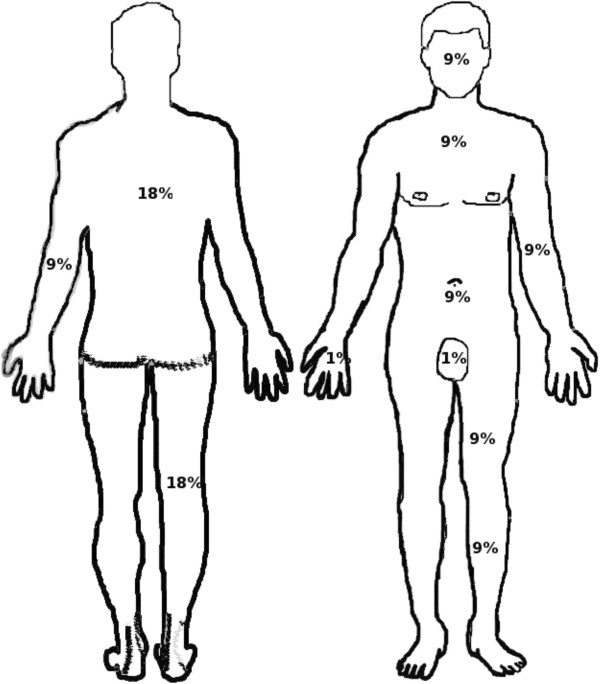 600x684 Rule Of Nines This Figure Shows The Different Parts Of The Body