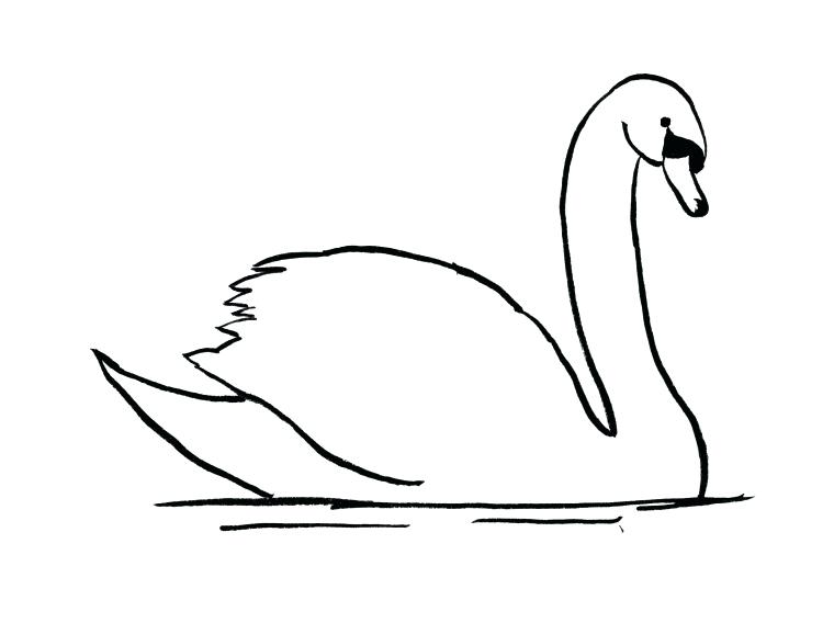 760x568 Duck Outline Drawing Rubber Coloring
