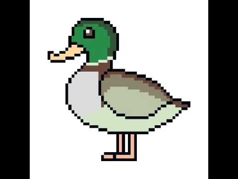 480x360 Mallard Drawing