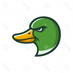 300x300 Photostock Vector Wild Mallard Duck With The Broken Leg Duck