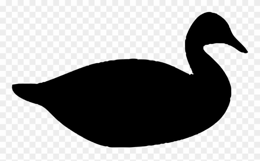 880x545 Amazing Chic Mallard Duck Silhouette Donald Drawing