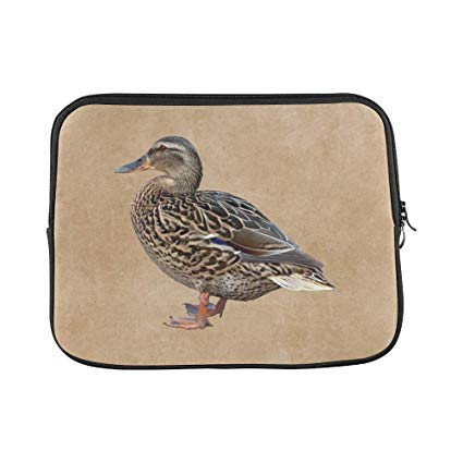 425x425 Design Custom Duck Mallard Bird Water Bird Drawing