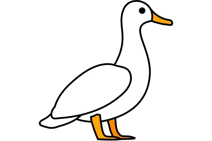 900x600 Duck Side View Outline Bright Yellow Stock Vector Duck Side View