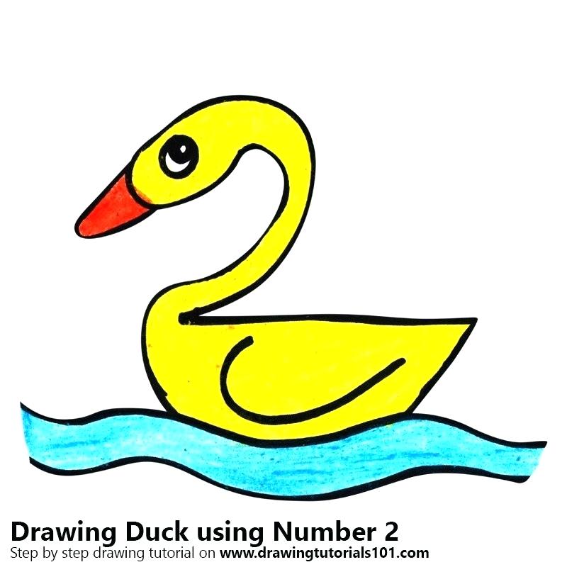 800x800 How To Draw A Duck In Water Mallard Draw Duck Water