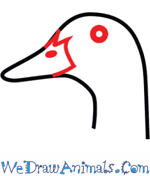 300x350 How To Draw A Mallard