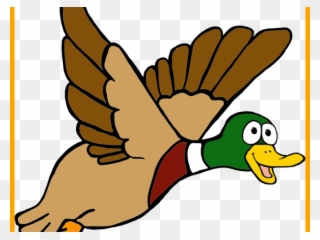 320x240 Mallard Clipart Mother Duck