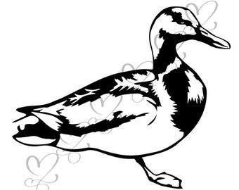 340x270 Mallard Duck Etsy