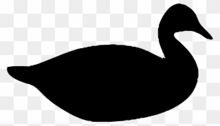 320x183 Duck Bird Drawing The Head And Hands Silhouette