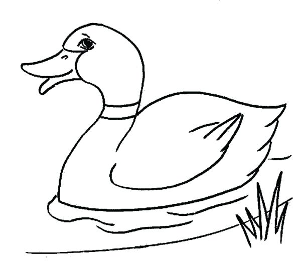 600x551 Duck Drawing Image Titled Draw Ducks Step Duck Drawing Cute Zupa