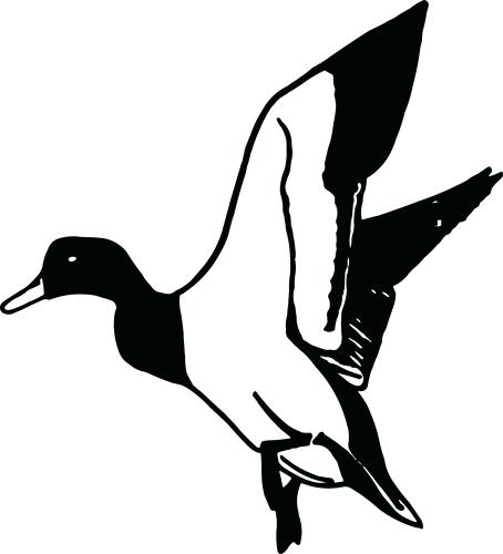 454x500 Free Duck Pictures Free Duck Clip Art Top Coloring Pages Christmas