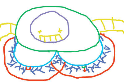 400x265 megahammermalletoid's megamallet sized boobhat