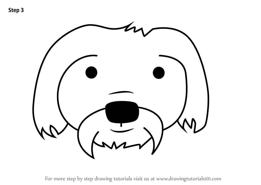 844x598 Learn How To Draw A Maltese Dog Face For Kids