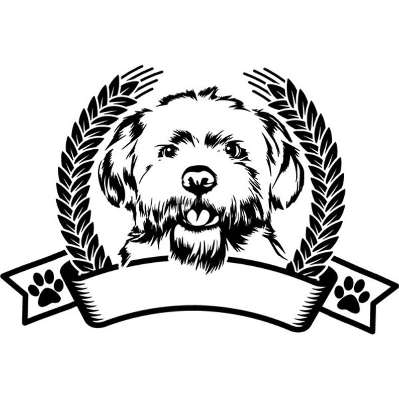 794x794 maltese dog smiling happy lap breed puppy k pedigree etsy